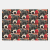 Staffordshire Bull Terrier Wrapping Paper Geschenkpapier Set (Vorderseite 3)