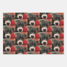 Staffordshire Bull Terrier Wrapping Paper Geschenkpapier Set