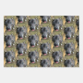 Staffordshire Bull Terrier Wrapping Paper Geschenkpapier Set (Vorderseite 3)