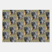 Staffordshire Bull Terrier Wrapping Paper Geschenkpapier Set (Vorderseite 2)