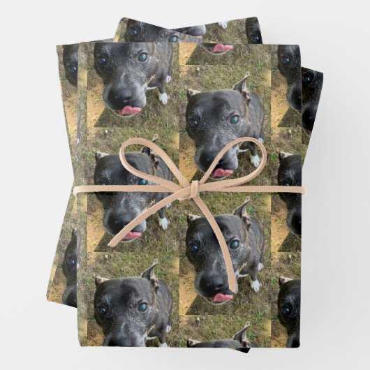 Staffordshire Bull Terrier Wrapping Paper Geschenkpapier Set (Beispiel)