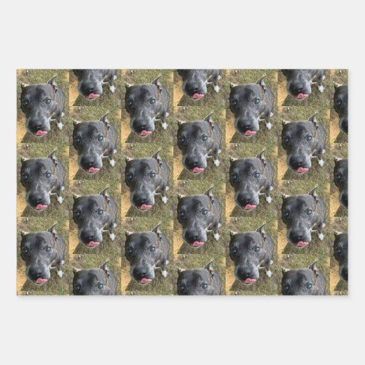 Staffordshire Bull Terrier Wrapping Paper Geschenkpapier Set (Vorderseite)