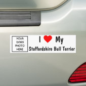Staffordshire-Bullterrier Autoaufkleber (Auf Auto)