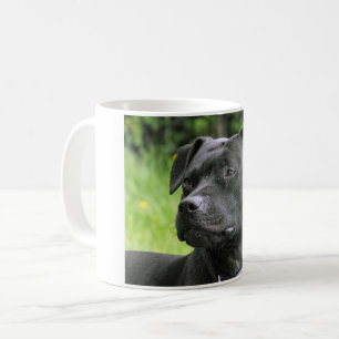 Staffordshire-Bullterrier Kaffeetasse