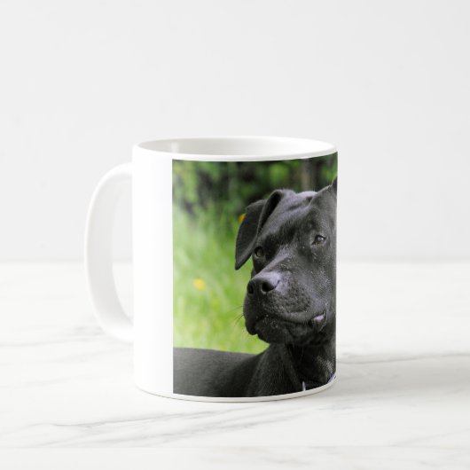 Staffordshire-Bullterrier Kaffeetasse (Vorderseite Links)