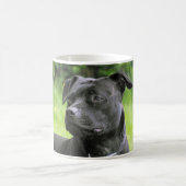 Staffordshire-Bullterrier Kaffeetasse (Mittel)