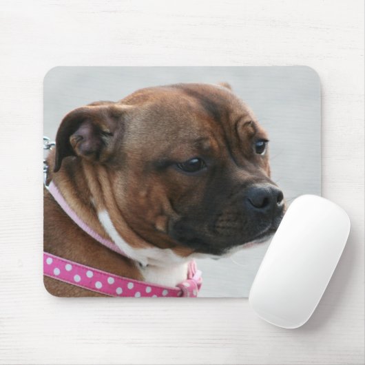 Staffordshire-Bullterrier mousepad (Mit Mouse)