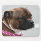 Staffordshire-Bullterrier mousepad (Vorne)