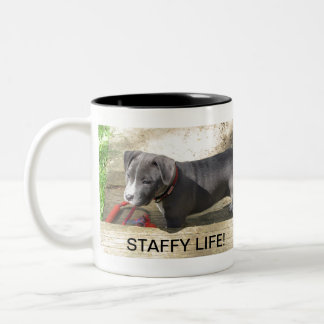 Staffordshire-Bullterrier Zweifarbige Tasse