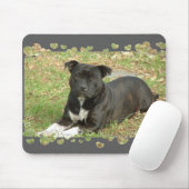 Staffordshire-BullterrierMausunterlage Mousepad (Mit Mouse)