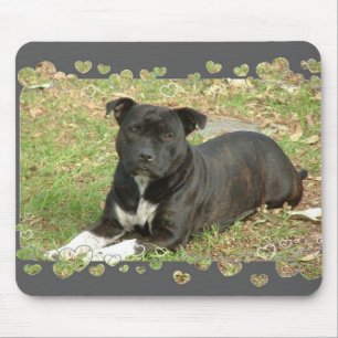 Staffordshire-BullterrierMausunterlage Mousepad