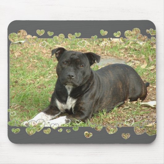 Staffordshire-BullterrierMausunterlage Mousepad (Vorne)