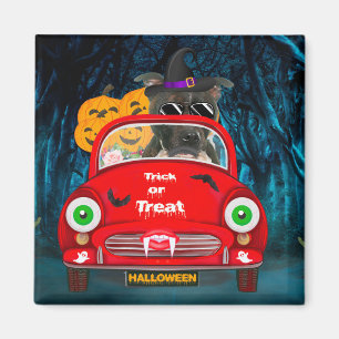 Staffordshire Dog Driving Car Beängstigend Hallowe Magnet