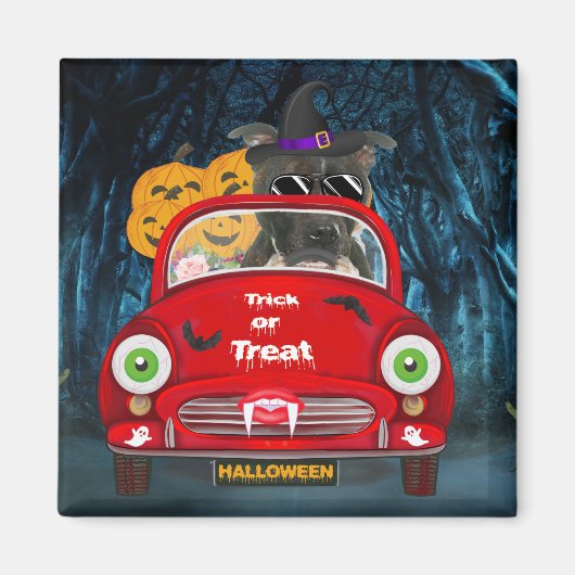 Staffordshire Dog Driving Car Beängstigend Hallowe Magnet (Vorne)