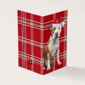 Staffordshire Dog Holiday Red Kariert Weihnachten (Vorderseite)