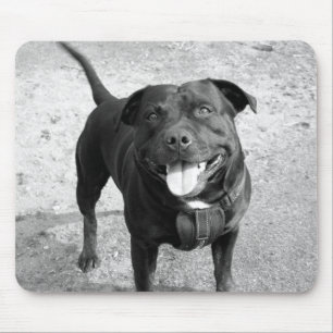 Staffordshire MouseMat Mousepad