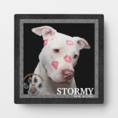 Staffordshire Terrier Dog Breed Memorial Fotoplatte (Vorderseite)