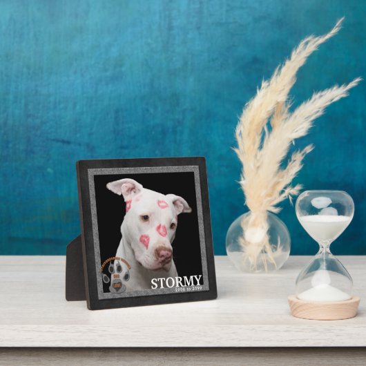 Staffordshire Terrier Dog Breed Memorial Fotoplatte (InSitu)