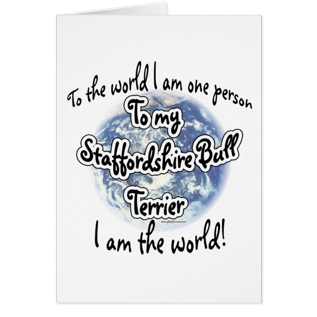 Staffordshire Terrier World 2 (Vorne)