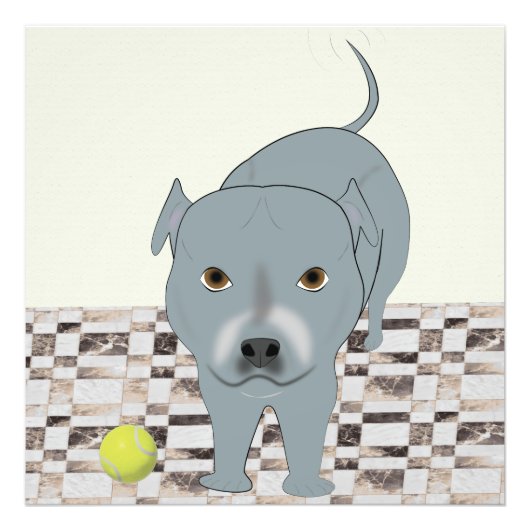 Staffy 24x24 Print Fotodruck (Vorne)
