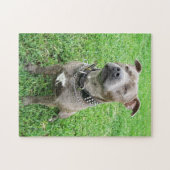 Staffy At Achtung, Jigsaw Puzzle (Horizontal)