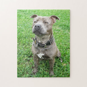 Staffy At Achtung, Jigsaw Puzzle