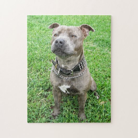 Staffy At Achtung, Jigsaw Puzzle (Vertikal)