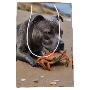 Staffy ist mit einer Strandkrabbe befreundet, Mittlere Geschenktüte