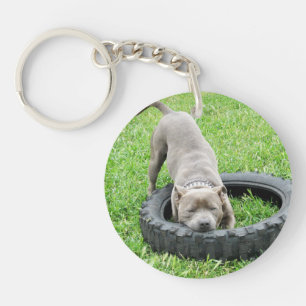 Staffy One Chomp oder Two, Schlüsselanhänger