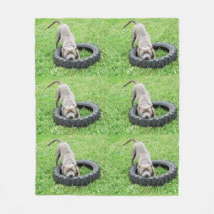 Staffy Playtime Medium Fleece Blanket.