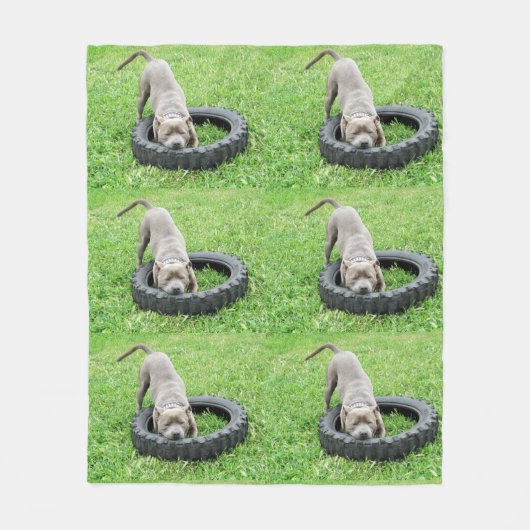 Staffy Playtime Medium Fleece Blanket. (Vorderseite)
