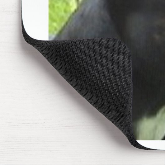 staffy.png mousepad (Ecke)