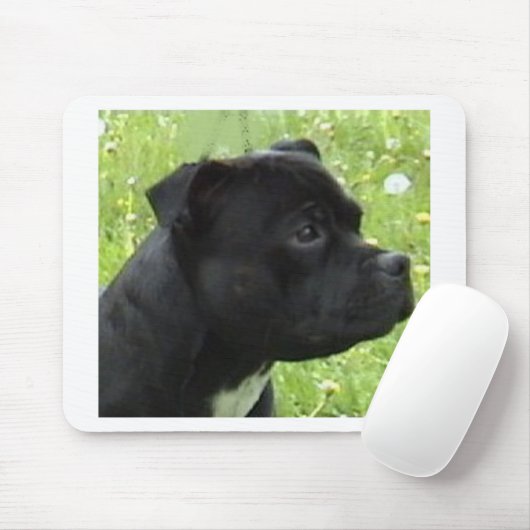 staffy.png mousepad (Mit Mouse)