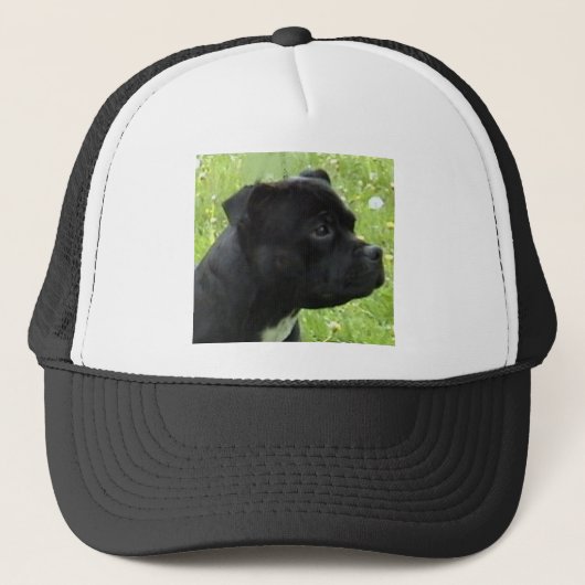 staffy.png truckerkappe (Vorderseite)