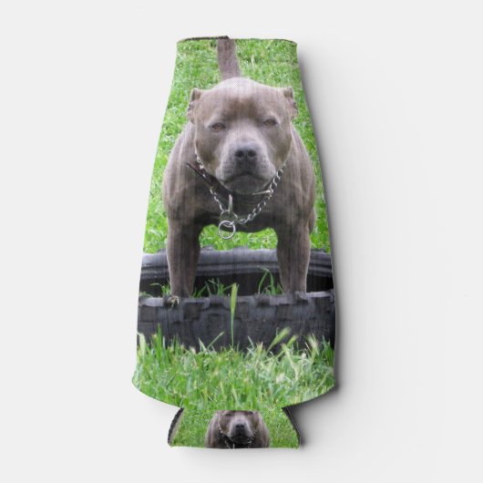 Staffy ready to play, flaschenkühler (Vorderseite)