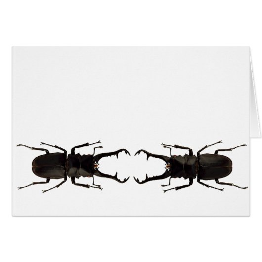 Stag Beetle (Vorderseite (Horizontal))
