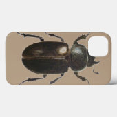 Stag Beetle 2011 Case-Mate iPhone Hülle (Rückseite (Horizontal))