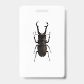 Stag Beetle Ausweis (Rückseite)