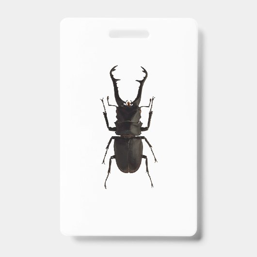 Stag Beetle Ausweis (Vorderseite)