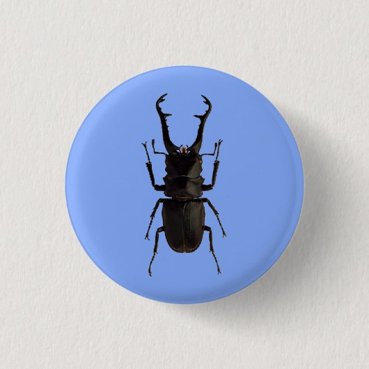 Stag Beetle Button (Vorderseite)