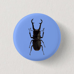 Stag Beetle Button