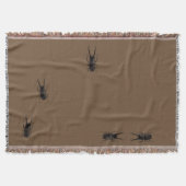 Stag Beetle Decke (Vorderseite)