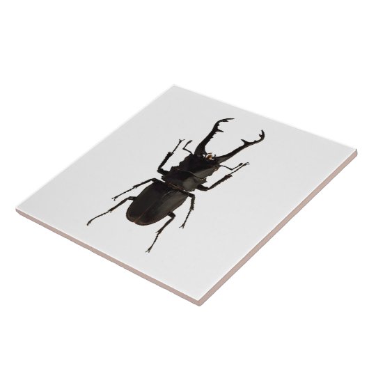 Stag Beetle Fliese (Seite)