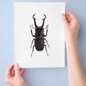 Stag Beetle Flyer (Hand)