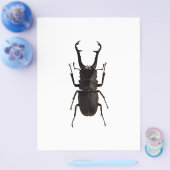 Stag Beetle Flyer (Einzeln)
