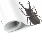 Stag Beetle Geschenkpapier (Rolleneckpunkt)