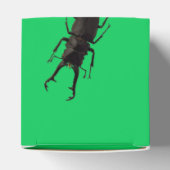 Stag Beetle Geschenkschachtel (Oben)