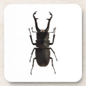 Stag Beetle Getränkeuntersetzer (Vorderseite)