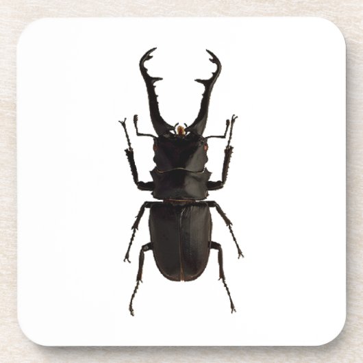 Stag Beetle Getränkeuntersetzer (Vorderseite)