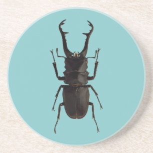 Stag Beetle Getränkeuntersetzer